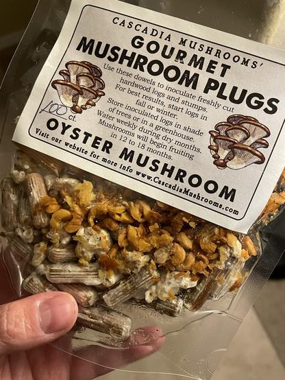 Bag of mycelium inoculated dowels and extra wood shavings. Label is cascadia mushrooms gourmet mushroom plugs oyster mushroom