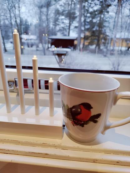 Kaffekopp med dompap på og adventsstake i vinduskarmen med utsikt mot fuglebrettet