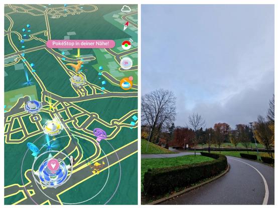 deutsch-französischer Garten