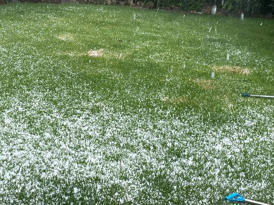 Hail on a green lawn
