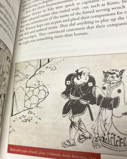 Illustration of cat walking upright with a human