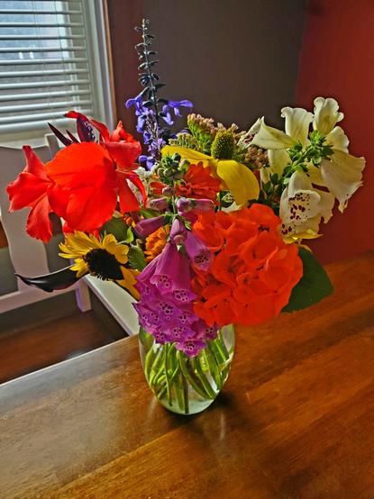 An eclectic, bright bunch of flowers in a glass vase on a wooden table. Geranium, canna, arum, foxglove, rudbeckia, minkshood, sedum, calendula.