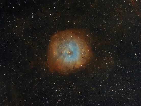 Rosette shaped nebula in a colourful star field showing the narrowband emmisons of Sulphur ,Hydrogen Alpha and Oxygen in the nebulas dust