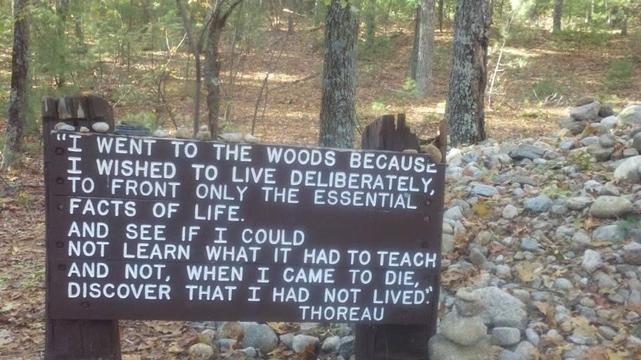 Sign with a Thoreau quote taken at Walden Pond.
