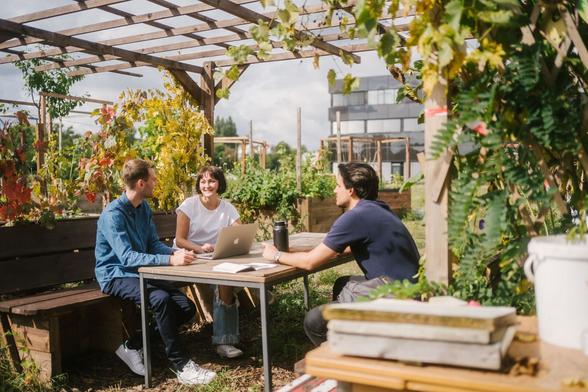Drei junge Menschen sitzen an einem Tisch im Urban-Gardening-Areal der HTW Berlin und unterhalten sich.