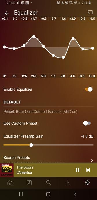 Screenshot of the Equalizer Settings screen within PlexAmp.