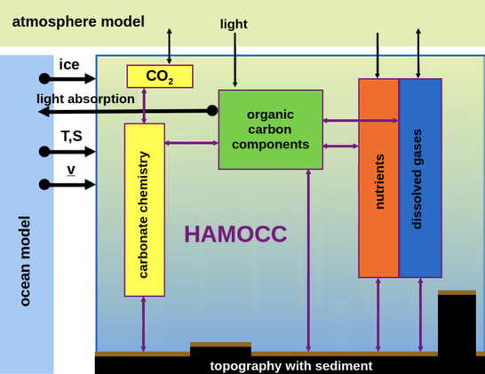Schematic of the biogeochemical processes simulated by HAMOCC. HAMOCC needs to be coupled to an ocean model that provides the fields of temperature, salinity and sea-ice cover, and transports the HAMOCC tracers according to the flow field. The surface inputs can either come from a coupled atmosphere model or are prescribed. The biogeochemistry in HAMOCC can then feed back to the ocean model via the impact of light absorption on temperature and to the atmosphere model via the uptake or release of CO2.