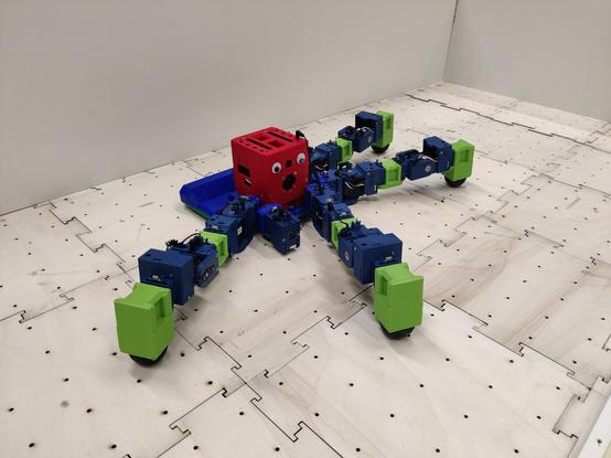 Evolved Robot