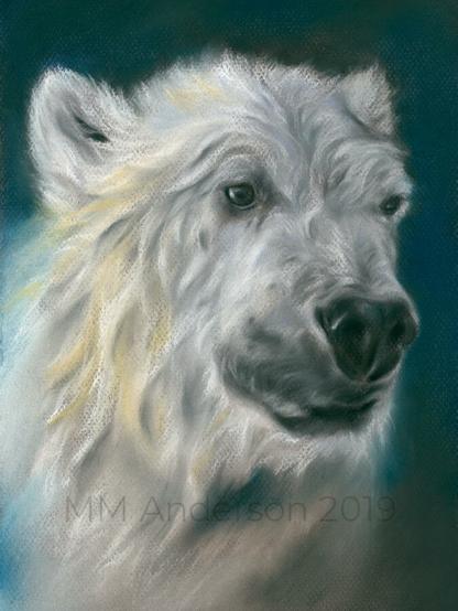 Soft pastel artwork on textured paper depicting a polar bear face in three quarter pose facing to the viewer's right. The white fur has warm ochre accents, and the bear is set against a dark blue and gray backdrop.