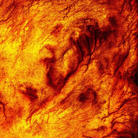 Digital Photogram representing combustion of fire with color black, red and yellow.