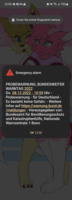 Screenshot von einem Android-Telefon mit einer Popup-Warnung 
"Emergency alarm - PROBEWARNUNG, BUNDESWEITER WARNTAG 2022 Do. 08.12.2022 - 10:59 Uhr - Probewarnung - für Deutschland - Es besteht keine Gefahr. - Weitere Infos auf https://warnung.bund.de /meldungen - Herausgegeben von: Bundesamt fiir Bevolkerungsschutz und Katastrophenhilfe, Nationale Warnzentrale 1 Bonn"