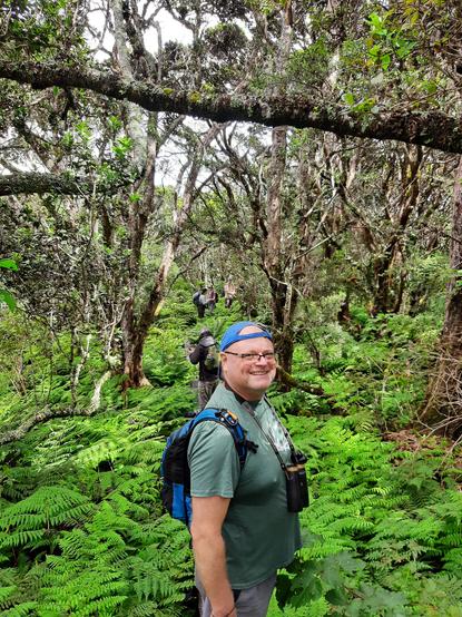 Misty native forest scene with gnarled trees, trunks covered in moss, and ground fully covered in ferns, with me standing at a short distance smiling at the viewer.  I'm male, Caucasian, 225 pounds, early 50s, wearing glasses and a blue baseball cap turned backwards; dark green t-shirt, bright blue knapsack on my back and binoculars hanging from my neck.