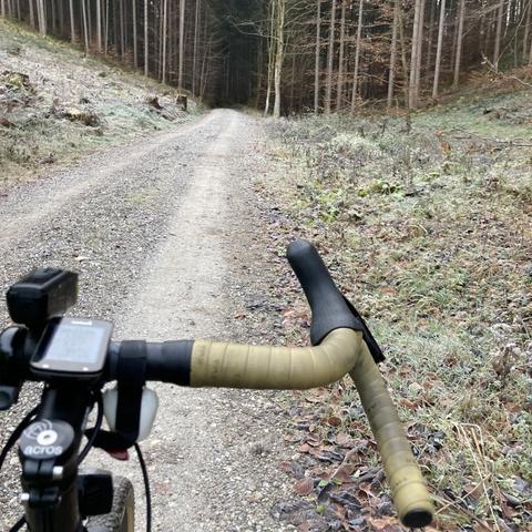 Eine Forststrasse führt in einen Wald, im Vordergrund schiebt sich der Lenker eines Gravelrads ins Bild.
