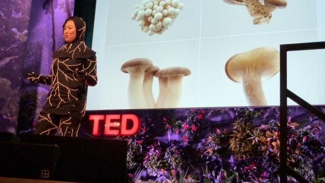 Jae Rhim Lee en Ted Talk con un traje a base de hongos explicando las bondades de este método.