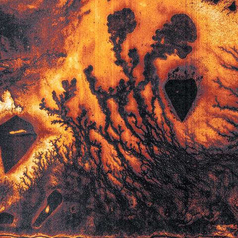 Digital Photogram of the series Four_Elements.