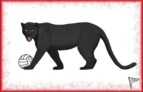 black panther playing volleyball with a red background