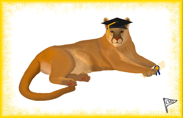 cougar graduating wearing a graduation cap and holding a diploma with a yellow/gold background