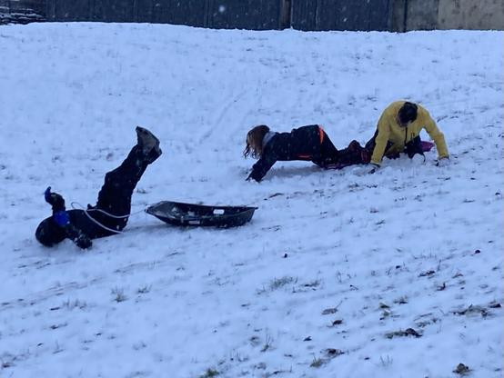 Kids rolling off sledges on a snowy hill.