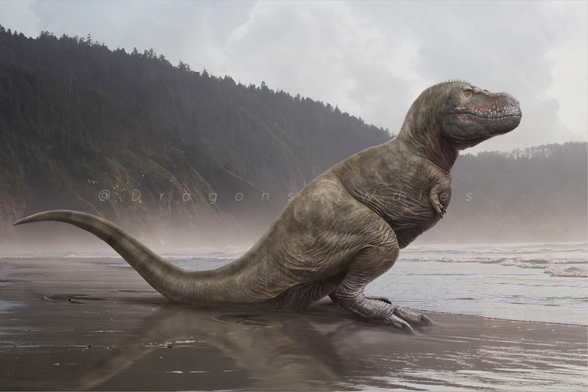 A large Tyrannosaurus rex sitting on a wet beach, with sea and distant trees in the background.