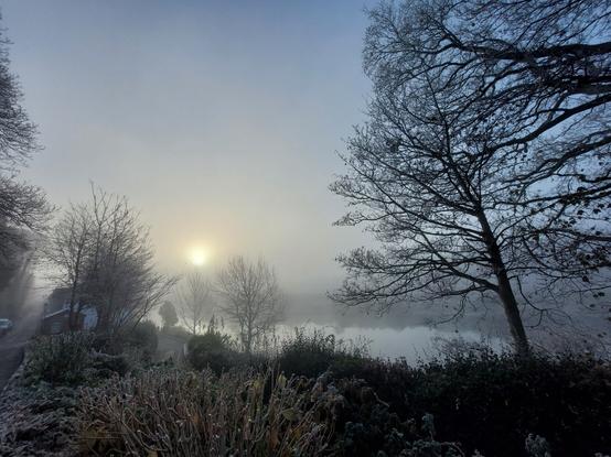 A photo of a foggy winter morning in County Kerry, Ireland. The silhouette of a bare birch tree reaches up through the the right third if the image framing the view of a pale yellow sun, shining gently through the fog, reflecting gently across the river on the lower third of the frame.   Brush and small trees dot the left side of the frame and a the faded treeline across the water.