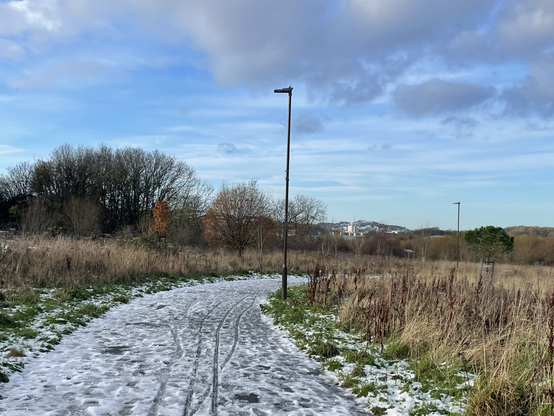 Icy path through grass. Blue sky above.