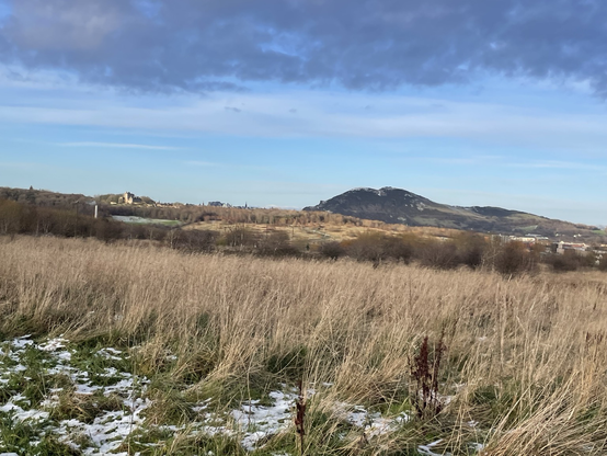 Arthur’s Seat hill seen in the distance with grassy scrubland in foreground.
