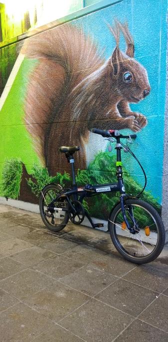 Sqirrel "on" a Tern folding bike