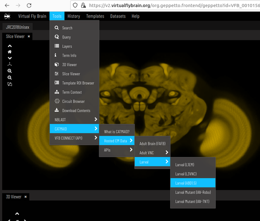 The CATMAID server for the larval ABD1.5 volume is under Tools - Hosted EM Data - Larval - Larva (ABD1.5)