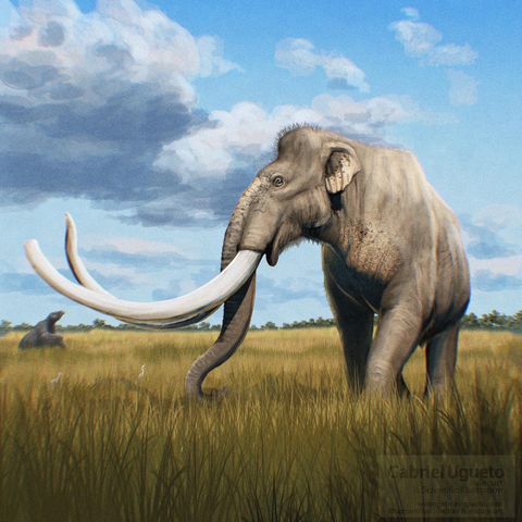 A male Columbian Mammoth looking at a giant ground sloth in the background