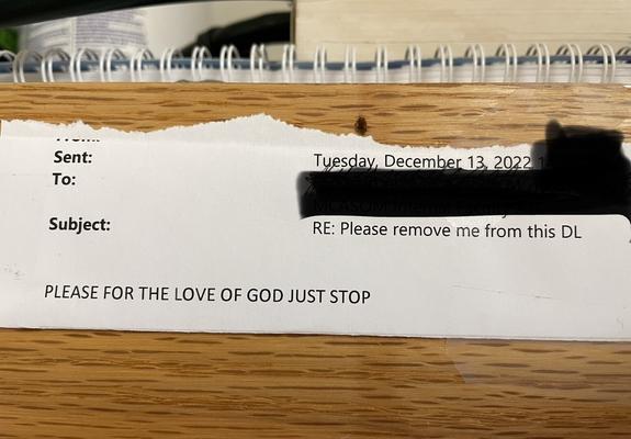 Reply all email with the subject line “please remove me from this DL” and the body of the email text states in all capital letters “PLEASE FOR THE LOVE OF GOD JUST STOP”