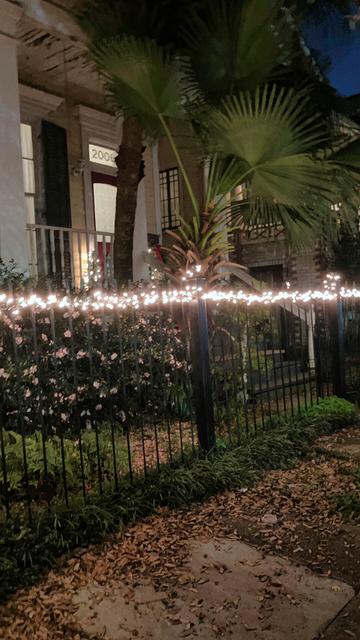 Christmas in New Orleans