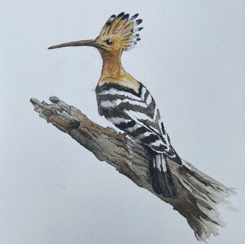 Bird on a branch
