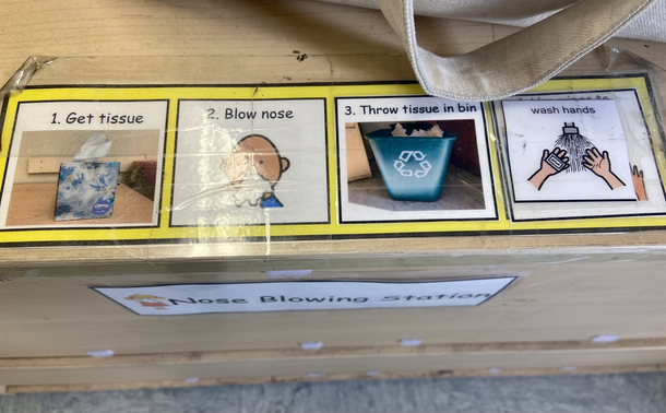 Visual supports (sequenced icons) for nose blowing