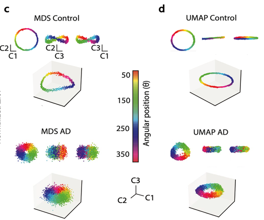 MDS and UMAP 3D projections for simulated data including control and AD conditions