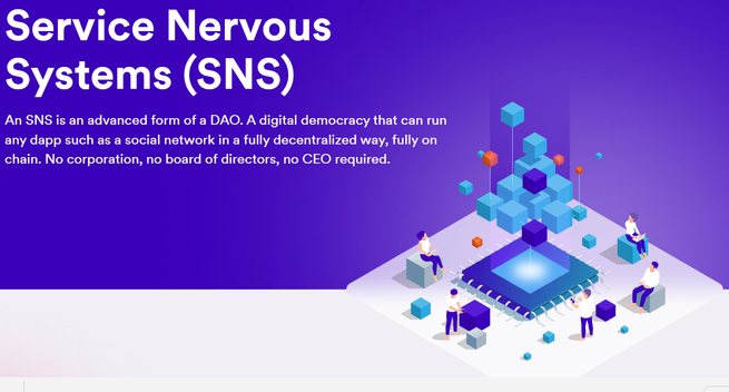 Dfinity Foundation's Service Network System.