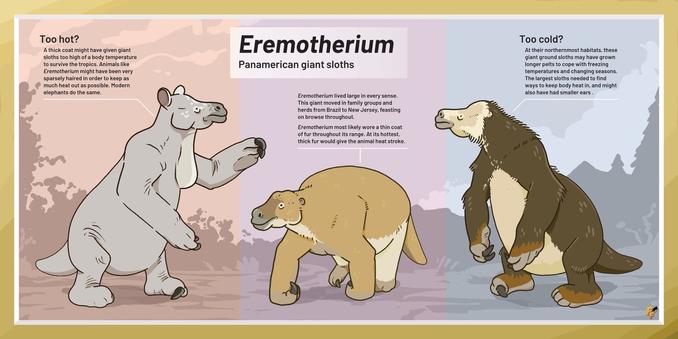 A trio of giant ground sloths showing a gradient of hot and cold adaptions. These include nearly naked to heavily furred.