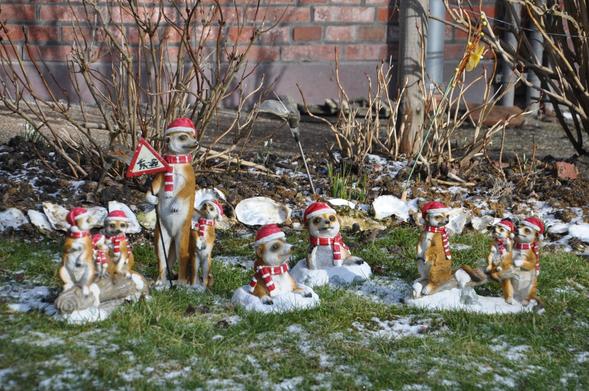 In einem schneeüberzuckerten winterlichen Garten sitzen und stehen Erdmännchenfiguren mit roten Zipfelmützen und rotweiß-geringelten Schals. Das stehende Wächtermännchen hält ein Verkehrsschild mit der Botschaft "Achtung Rentierschlitten"