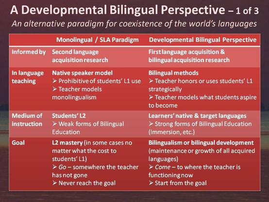 Steve McCarty bilingualism presentation 1