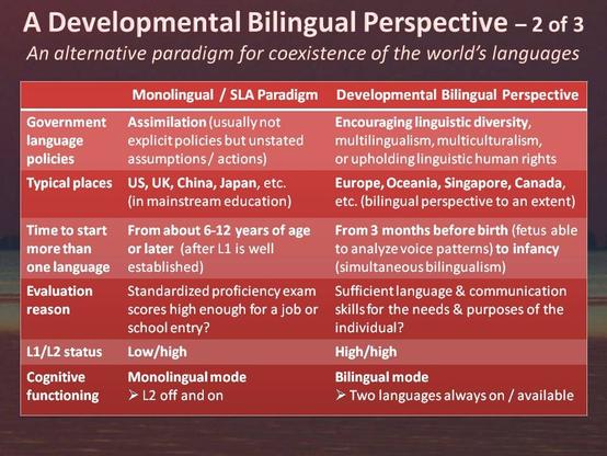 Steve McCarty bilingualism presentation 2
