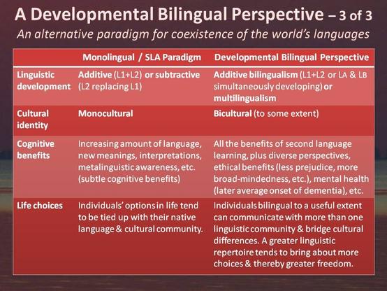 Steve McCarty bilingualism presentation 3
