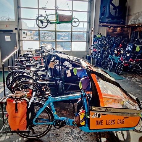 Cargo bike shop with lots of cool bikes!