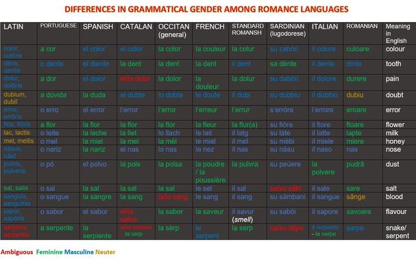 Chart of differences in gramatical gender among Romance languages: Portuguese, Spanish, Catalan, Occitan, French, Romansh, Sardinian, Italian and Romanian, with the original Latin word and meanings in English.