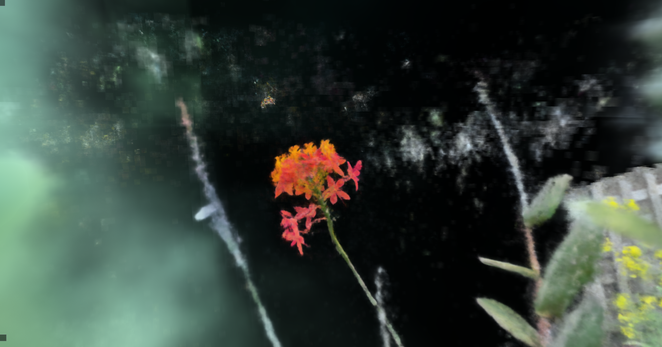 Image created using ngp nerf of an orange crucifix orchid. Sits against a black field with machine learning "hallucinations" on the left and right of the image.