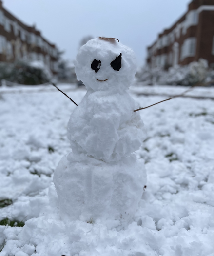 A little snow person, made up of three stacked small balls of snow. They have a leaf on their head, looking like a quiff of hair; two black leaves for eyes, and a small stem curved up in a smile. Two twigs stick out of their sides. The background of flats is blurred out