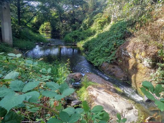 View looking downstream of Colquitz Colquitz River. Part of bridge foundation pillar is on top far left. Green foliage surrounds river.  There's a big boulder that splits the river, seen & rocky cliffside is on the right.