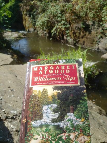 Part of a paperbook cover, Margaret Atwood - Wilderness Tips.  Background is a river & plants.