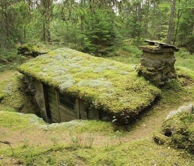 Moss-covered cottage