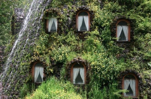 Moss-covered cottage with windows