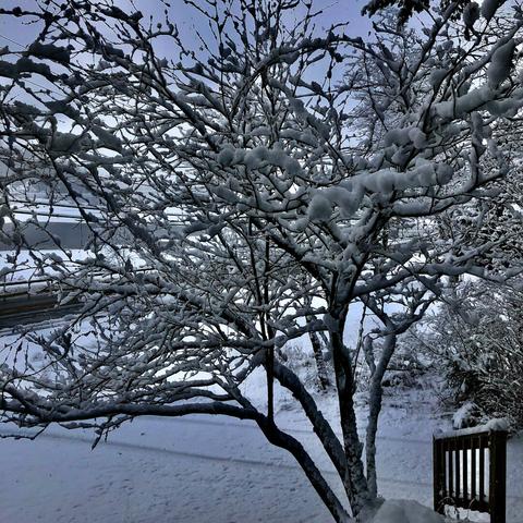 snowy landscape featuring a half frozen lake and snow cover reflecting light from a gray sky