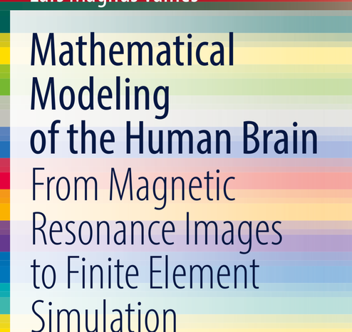 Mathematical Modeling of the Human Brain